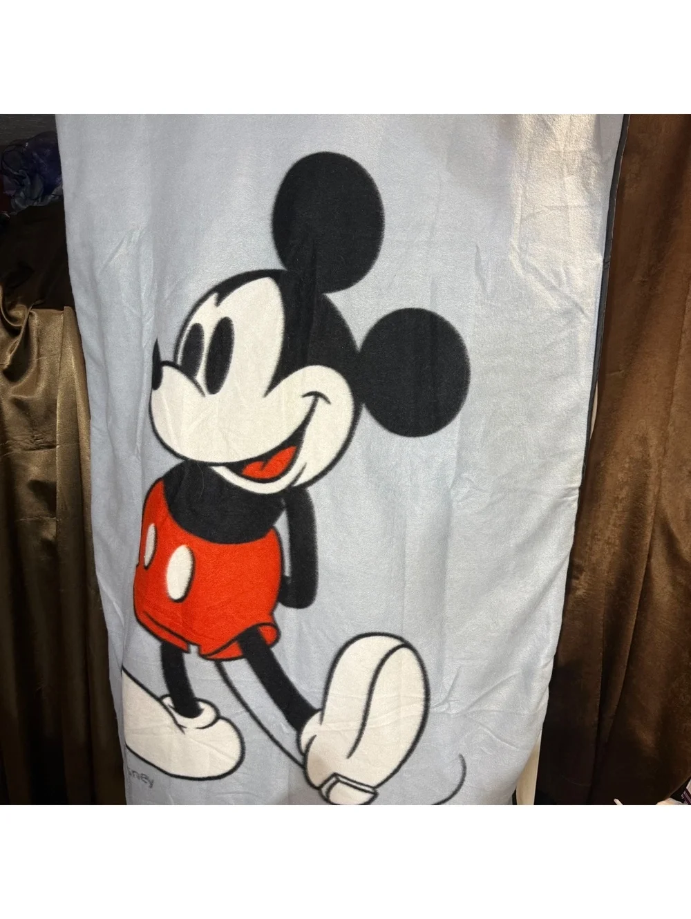 Disney Rewards Mickey Mouse Fold Up Picnic Blanket Bag Chase Visa Promo Cushion
